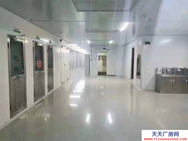 (出租) 東莞市萬江道滘及周邊鎮區標準廠房出租,獨院單一層廠房出租