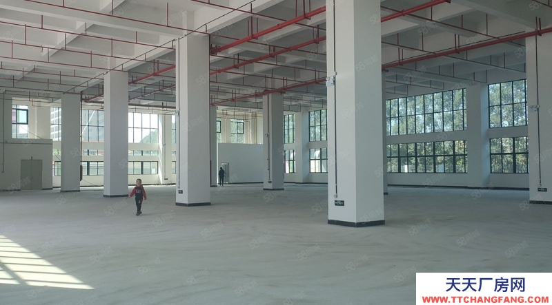 (出租) 東莞原房東房源,土塘實際面積全新廠房3000平方一層,一樓高7米