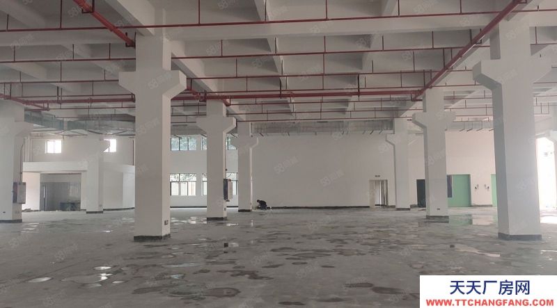 (出租) 東莞原房東房源,土塘實際面積全新廠房3000平方一層,一樓高7米