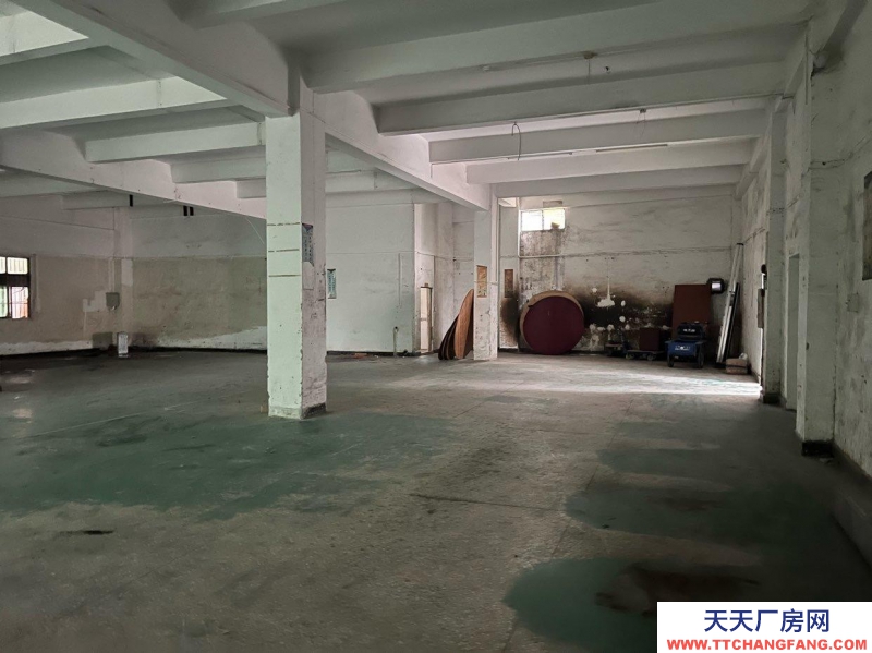 (出租)東莞 首層廠房倉庫招租經濟實惠,使用性強