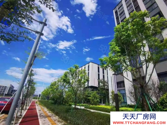 (出售) 蕪湖繁昌開發商直售，全新花園式廠房，首付3成起，可按揭10年