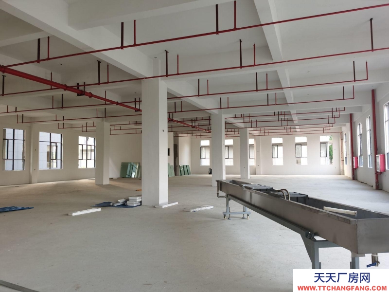 (出租) 蕪湖市繁昌區(qū)標(biāo)準(zhǔn)工業(yè)廠房 全新廠房 廠房出租 可分租