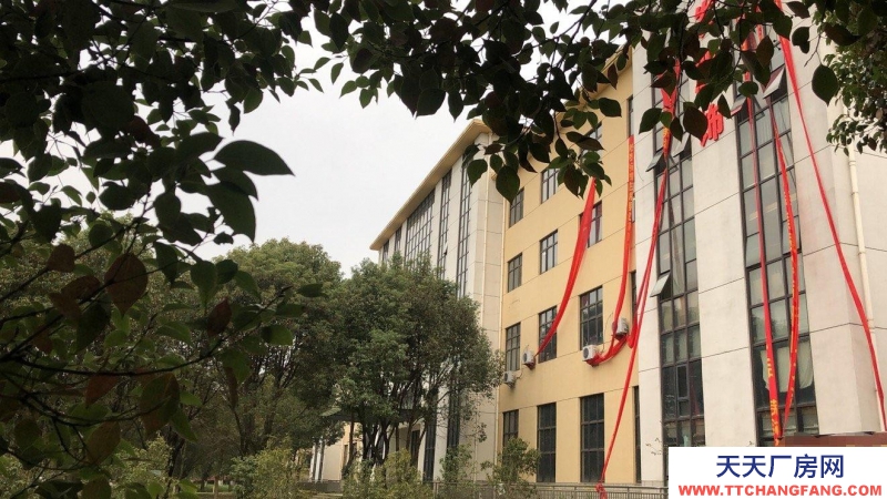 (出租) 蕪湖南陵縣經濟開發區 大工山路一廠房出租