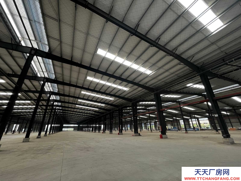 (出售) 蕪湖南陵鋼結構單層,檐高12米,產權50年,環評代辦可按揭