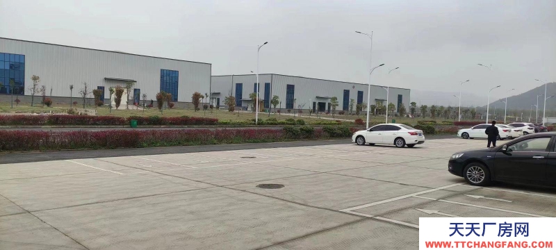 (出售) 蕪湖南陵鋼結構單層,檐高12米,產權50年,環評代辦可按揭