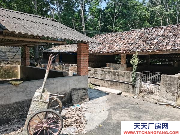 (出租) 養殖場，魚塘，倉庫，住房，面積約20畝