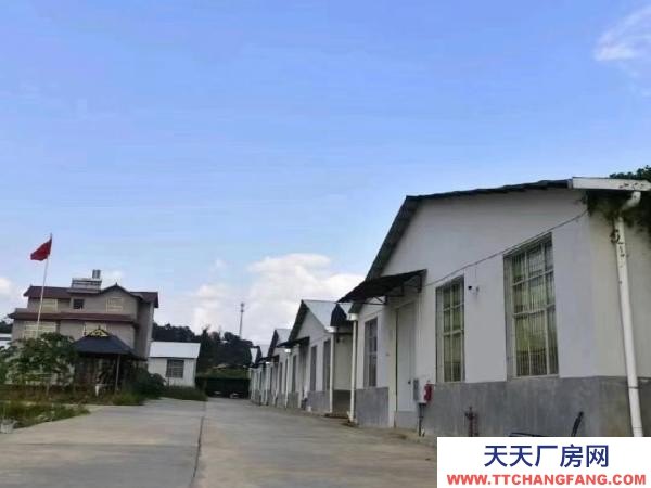 (出租) 自家茶廠,有分篩,發(fā)酵,倉庫