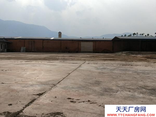 (出租) 紅山完小左邊，10米寬大道，獨立自主，自由使用。