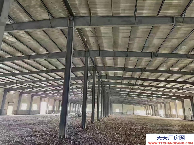 (出租) 蚌埠蚌山標準化鋼結構廠房獨立的水泥路面