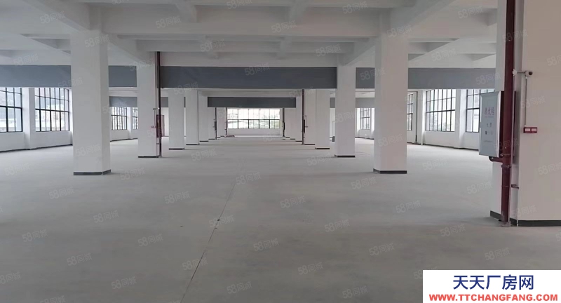 (出租) 東莞清溪客運站周邊全新標準廠房大小可分租