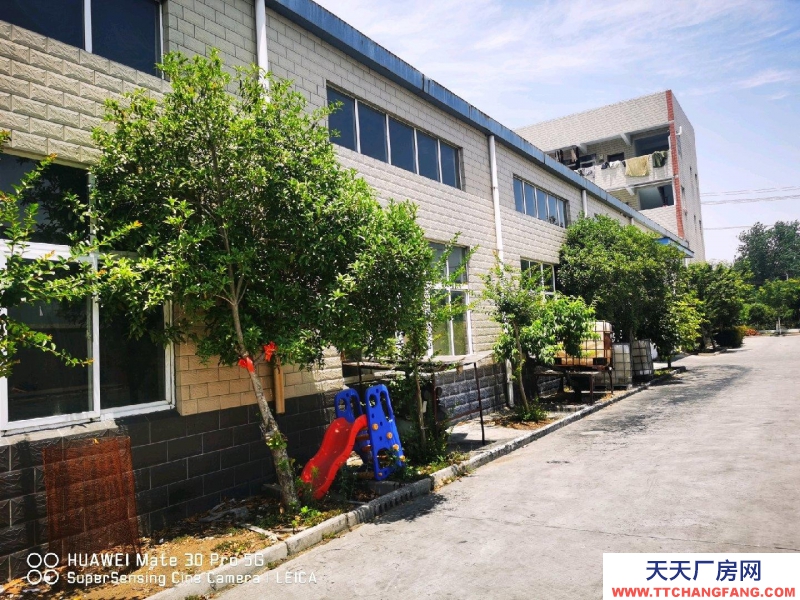 (出租) 蚌埠龍子湖工業園區標準廠房