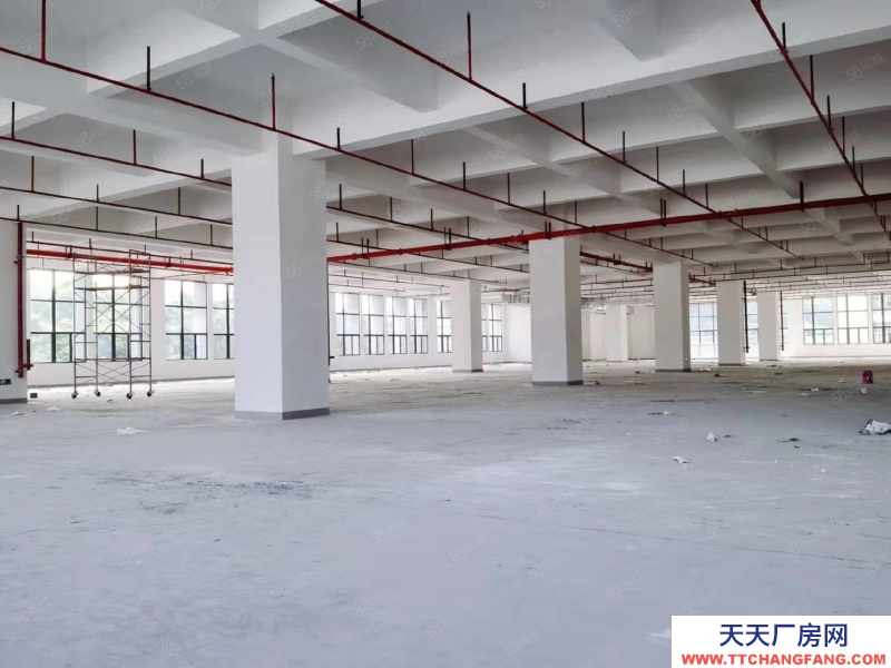 (出租) 東莞鳳崗1500平米全新廠房出租)一樓高度7米樓上高度5.3米
