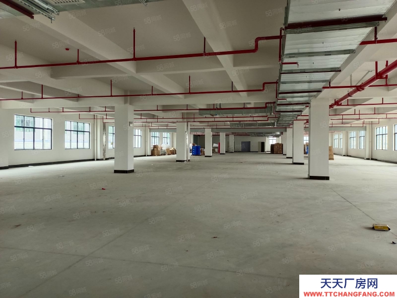 (出租) 東莞鳳崗天堂圍驚現標準一樓2000平帶消防噴淋,原房東直租可分租