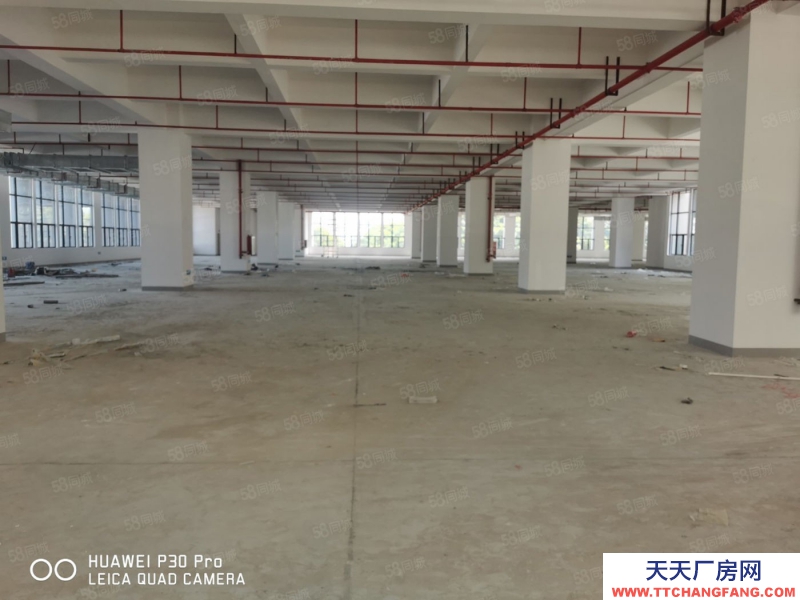 (出租) 東莞雁田廠房出租辦環(huán)評(píng),1300平二樓全新廠房分租帶全新地坪漆