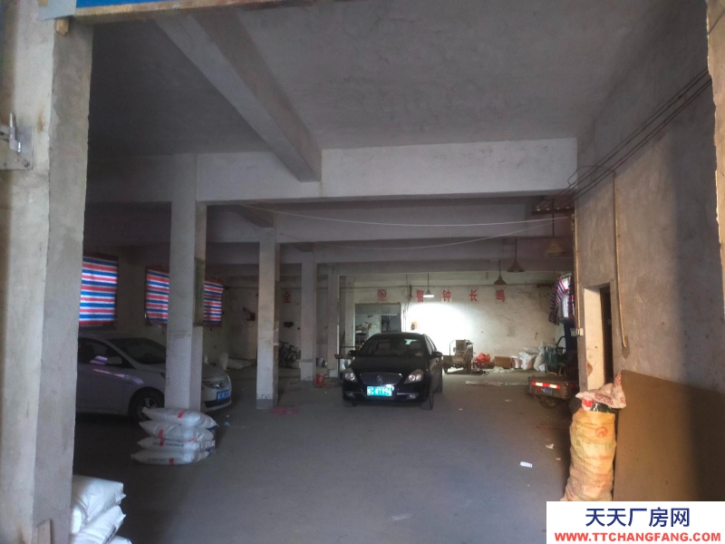 (出租)蚌埠龍子湖龍子湖二剛馬村新莊