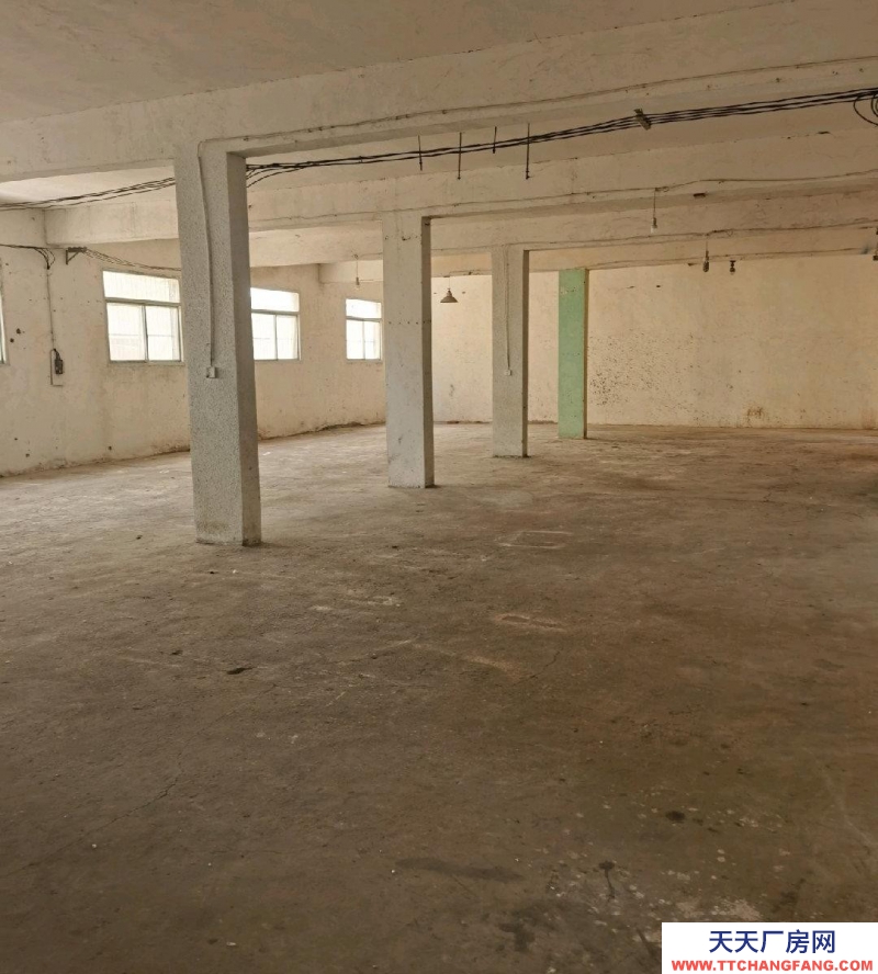 (出租) 蚌埠龍子湖倉庫，廠房，電商倉庫，直播，養(yǎng)寵物等等