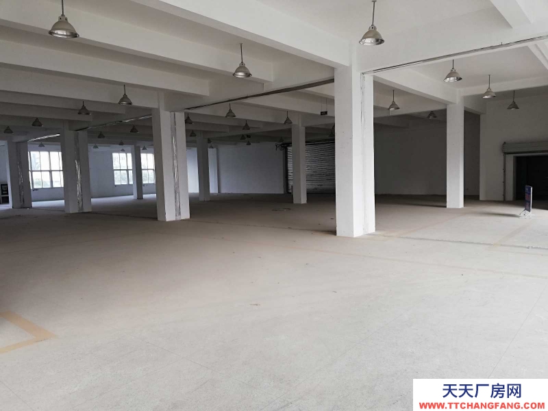 (出租)蚌埠龍子湖東海大道（恒大電影城東側）宏業南路531號