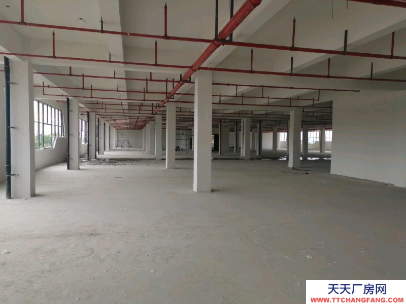 (出租) 蚌埠龍子湖國企新建徽商錦潤物流園項目。今年7月可以投入使用