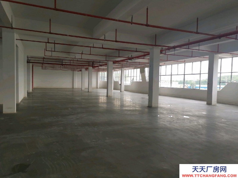 (出租) 蚌埠龍子湖國企新建徽商錦潤物流園項目。今年7月可以投入使用