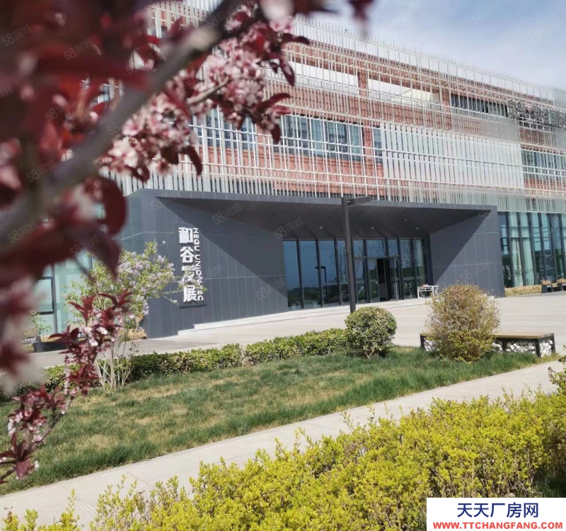 保定 曲陽 企業獨棟 廠房辦公 庫房展廳 食品可環評 現房800平起