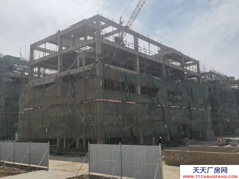 保定 曲陽 企業獨棟 廠房辦公 庫房展廳 食品可環評 現房800平起