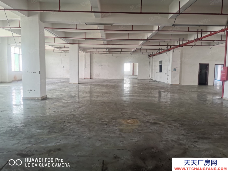 (出租) 東莞鳳崗五聯園區廠房出租，高度高，一樓2300平分租