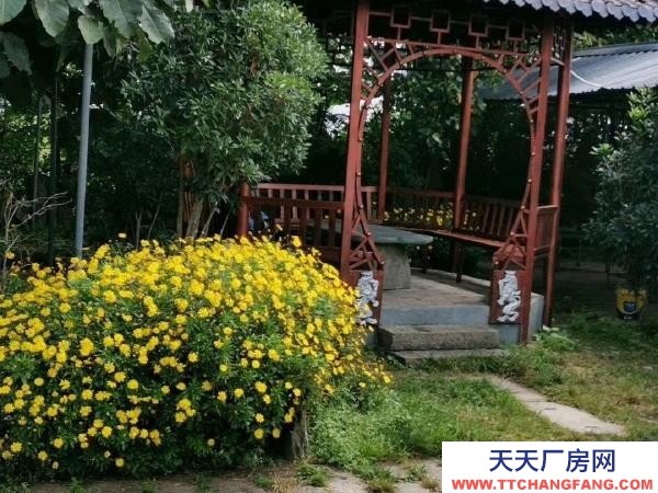 (出租) 可做廠房，倉儲，苗圃，農(nóng)家樂，露天籃球或足球教學(xué)場地