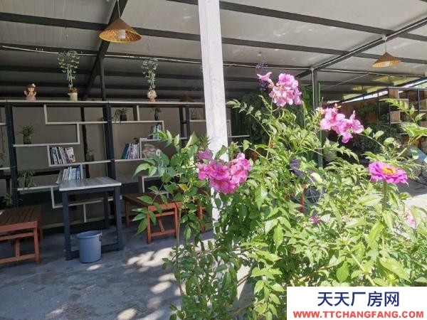 (出租) 可做廠房，倉儲，苗圃，農家樂，露天籃球或足球教學場地