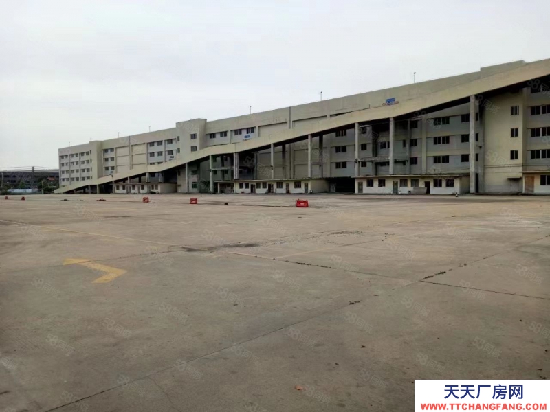 (出租) 東莞麻涌超大空地卸貨平臺(tái)廠房650平可分租出租低價(jià)出租