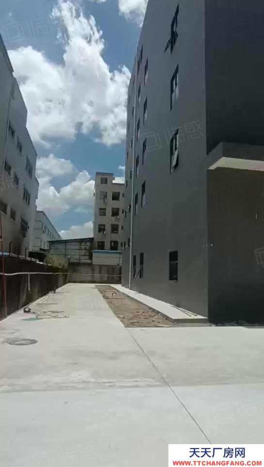 (出租) 可做電池！東莞清溪外環(huán)高速出口 4萬平全新紅本倉庫廠房出租 分租