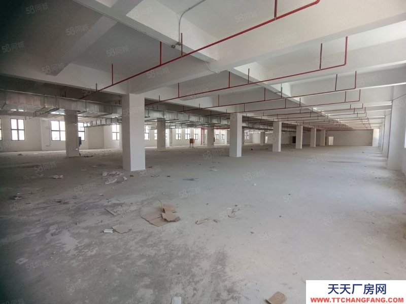 (出租) 可做電池!東莞清溪外環(huán)高速出口 4萬(wàn)平全新紅本倉(cāng)庫(kù)廠房出租 分租