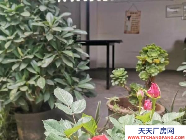 (出租) 出租大理市昆百大泰業(yè)城