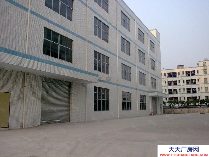 (出租) 東莞低價廠房出租1000平,有環評,低價5毛,可進掛車,交通好