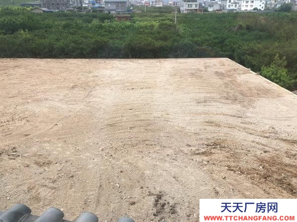 (出租) 214國道旁，荷花村加油站，交通相當便利