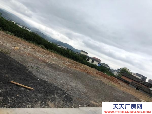 (出租) 214國道旁，荷花村加油站，交通相當便利