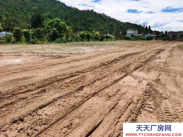 (出租) 紅山完小左邊，10米寬大道，獨立自主，自由使用。