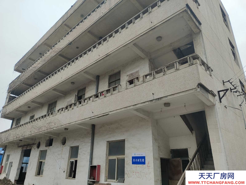 (出租) 蚌埠禹會區東海大道/中糧大道(路口)廠房