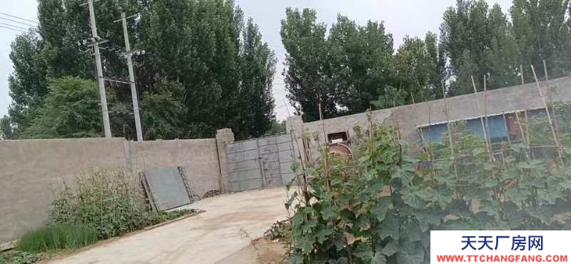 保定 容城  面積較大交通便利水電方便