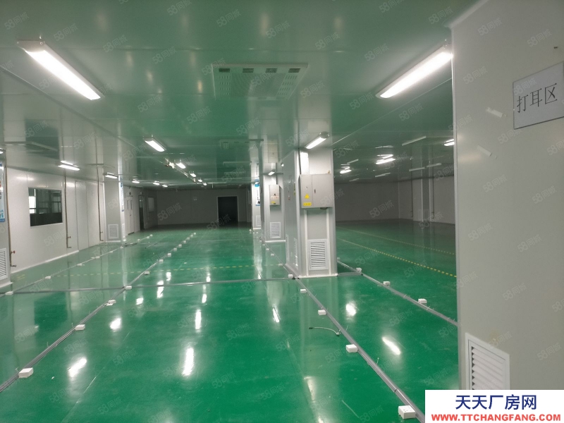 (出租) 東莞大朗原房東工業(yè)區(qū)獨(dú)棟標(biāo)準(zhǔn)廠房豪裝6800平不分租