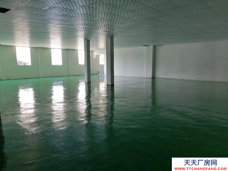 棗莊薛城適合倉庫、廠房2000平方米