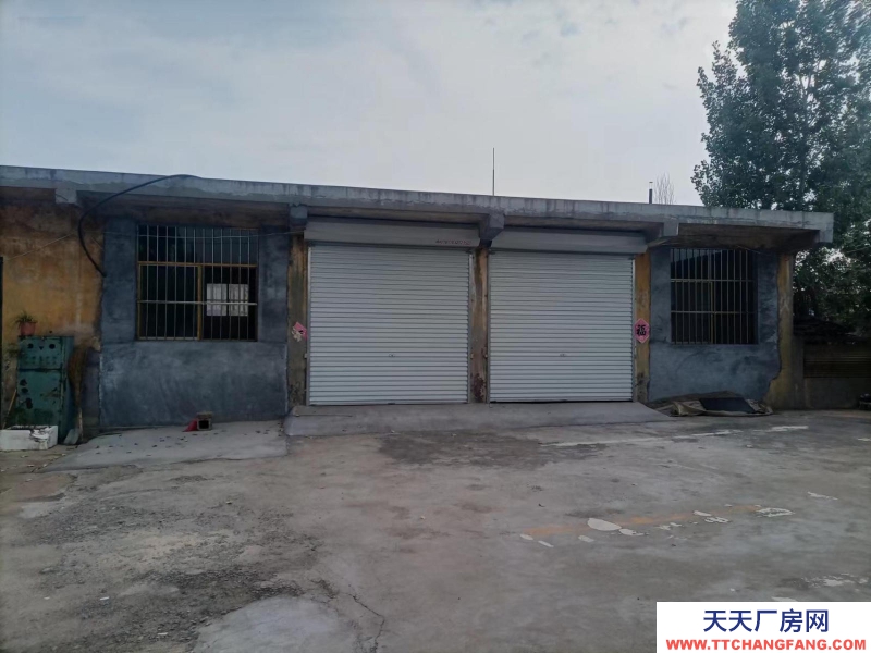 出租薛城城西區(qū)域光明西路挪莊村委會北側(cè)大院