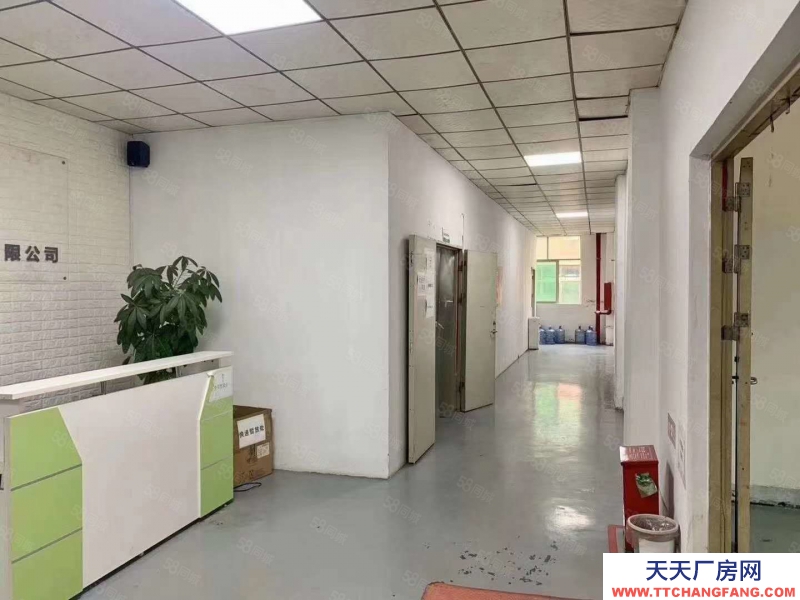(出租) 東莞小型加工廠出租500平方帶裝修
