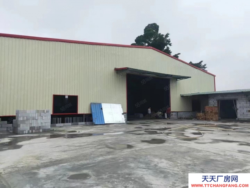 (出租) 東莞廠房招租常平鎮(zhèn)新出單一層1800平方廠房出租超大空地可分租。