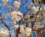 (出售) 襄陽南漳高品質生態住房回歸自然生活