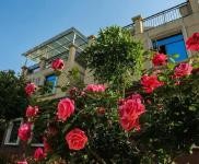 (出售) 襄陽南漳高品質生態住房回歸自然生活