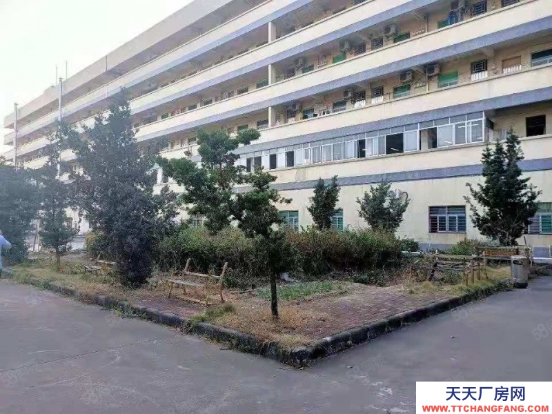 (出租) 東莞道窖新出花園式獨(dú)門獨(dú)院6800平 滴水11米 帶行車超大空地