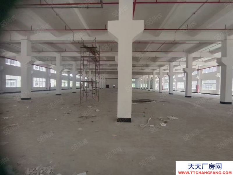 (出租) 東莞市樟木頭樟洋全新廠房高速路口標(biāo)準(zhǔn)10萬平廠房出租