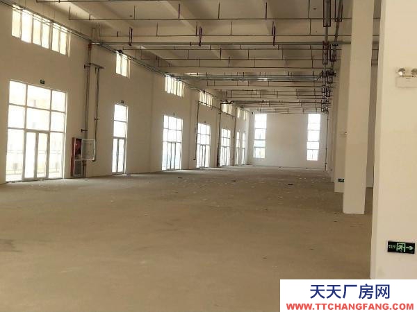 (出租) 蚌埠禹會區家博城20000平方大型廠房出租