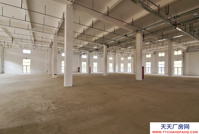 (出租) 蚌埠禹會區家博城20000平方大型廠房出租