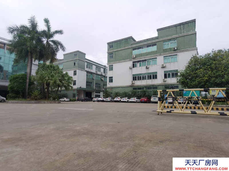 (出租) 東莞獨立廠房520平，860平，1700平等各種規(guī)格，形象高大上